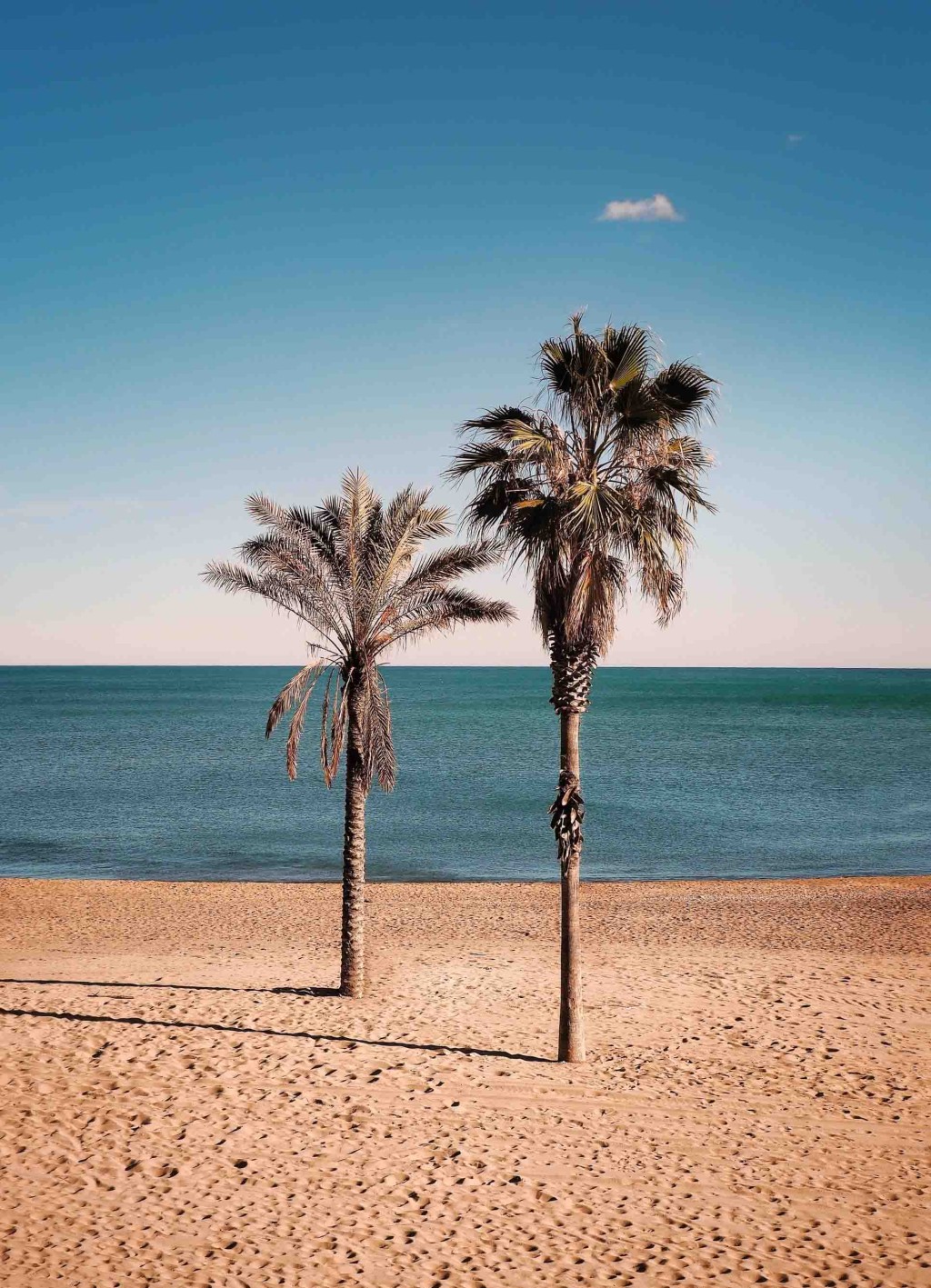 Badalona Beaches and promenade