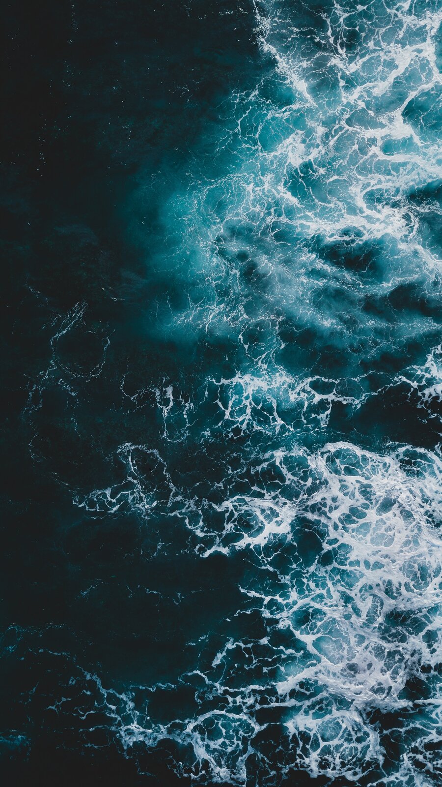 Ocean express